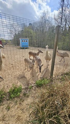 2173 County Road 3011, Dayton, TX 77535