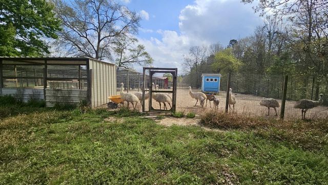 2173 County Road 3011, Dayton, TX 77535