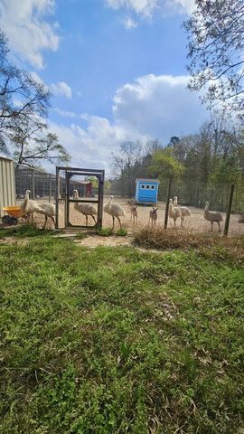 2173 County Road 3011, Dayton, TX 77535