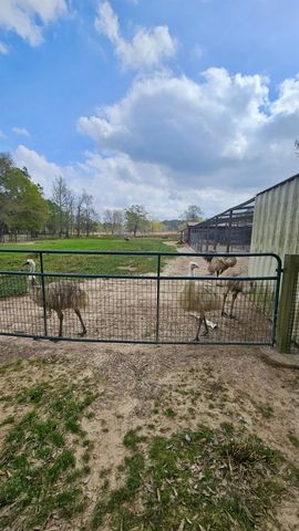 2173 County Road 3011, Dayton, TX 77535