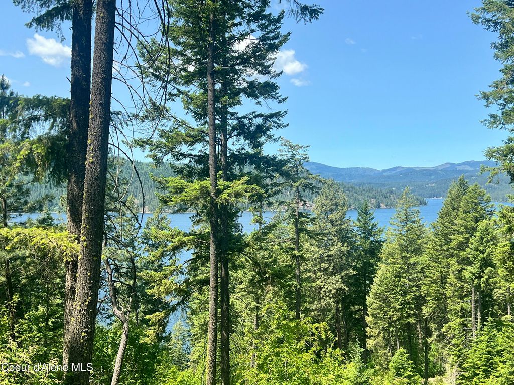 NKA E Driftwood Heights Dr, Harrison, ID 83833