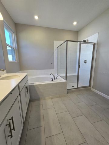 1434 MADDIE BERRY LANE, Kissimmee, FL 34744