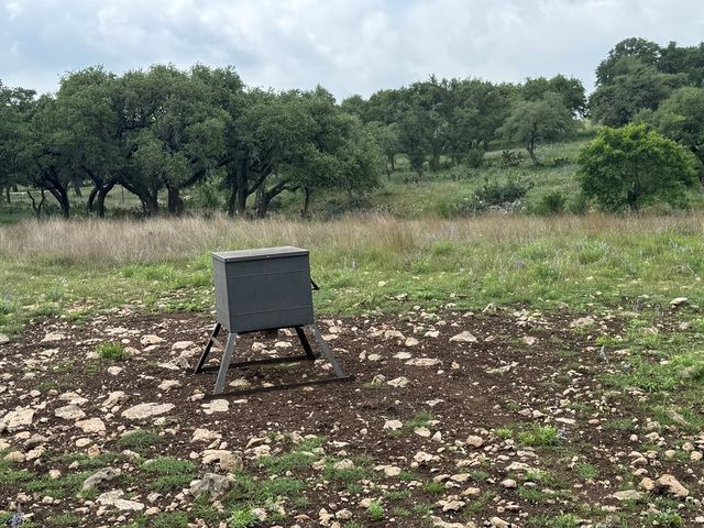 181 S Colinas Drive, Kerrville, TX 78028