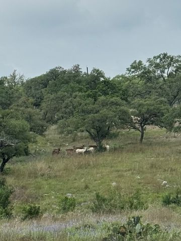 181 S Colinas Drive, Kerrville, TX 78028