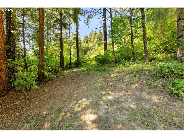 31451 DUTCH CANYON Rd, Scappoose, OR 97056