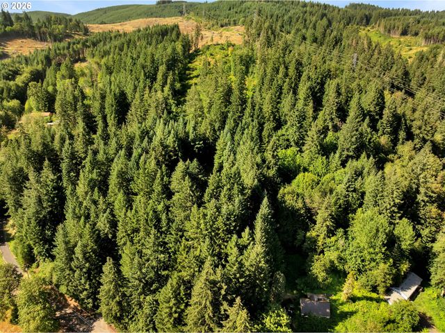 31451 DUTCH CANYON Rd, Scappoose, OR 97056
