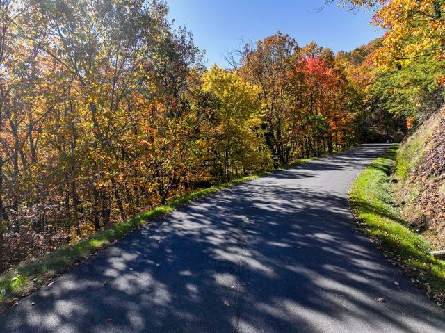 Lot 46 Utana Bluffs Trail, Ellijay, GA 30540