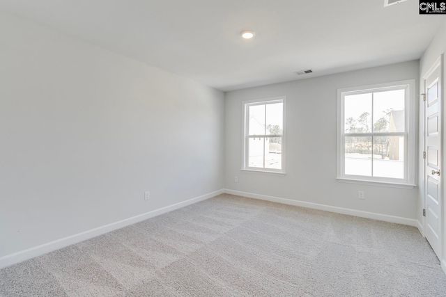 625 Falling Leaf Lane, Chapin, SC 29036
