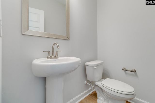 625 Falling Leaf Lane, Chapin, SC 29036