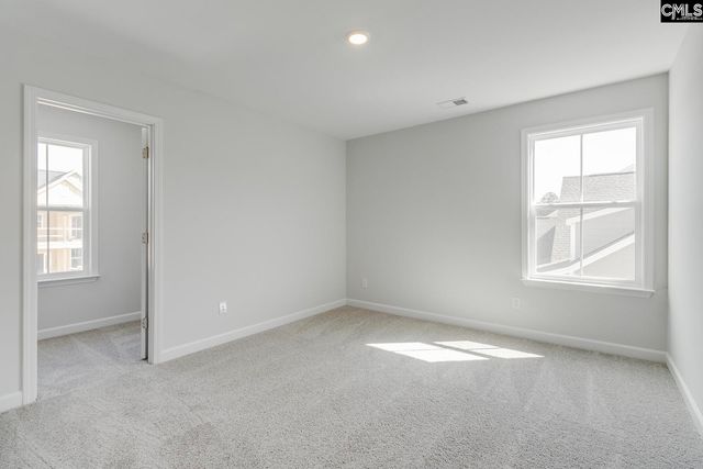 625 Falling Leaf Lane, Chapin, SC 29036