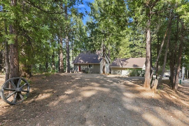 16902 Mckenzie Dr, Pioneer, CA 95666