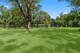 6069 Fm 943, Livingston, TX 77351