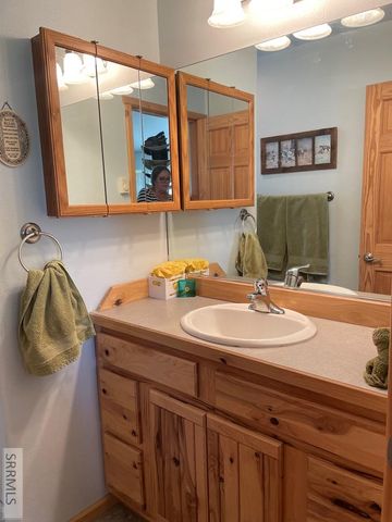 22 Sagebrush Avenue, Salmon, ID 83467