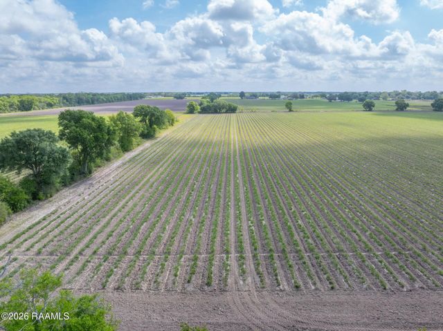 Tbd Leroy Road, Maurice, LA 70555
