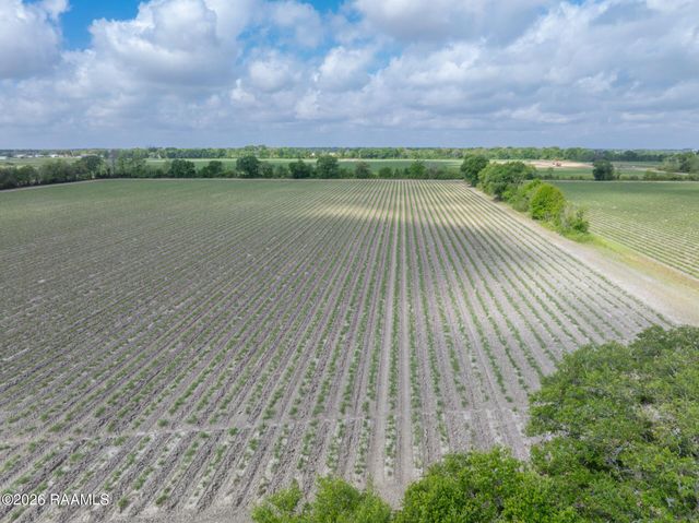 Tbd Leroy Road, Maurice, LA 70555