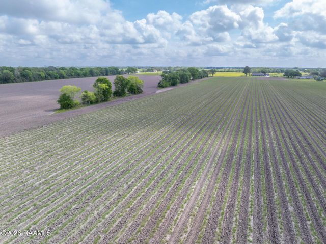 Tbd Leroy Road, Maurice, LA 70555
