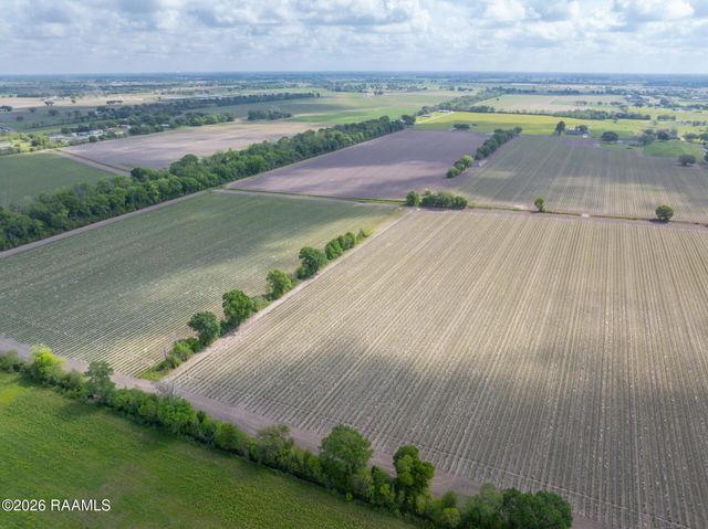 Tbd Leroy Road, Maurice, LA 70555