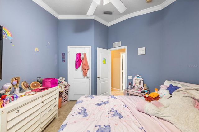 26645 CASTLEVIEW WAY, Wesley Chapel, FL 33544