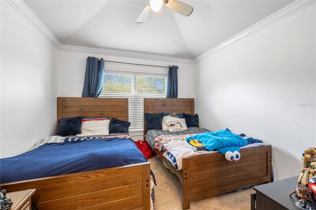 26645 CASTLEVIEW WAY, Wesley Chapel, FL 33544