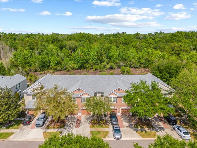 26645 CASTLEVIEW WAY, Wesley Chapel, FL 33544