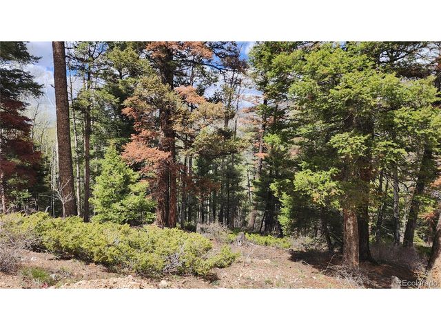 6338 Aragon Rd, San Luis, CO 81152