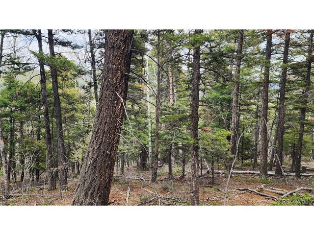 6338 Aragon Rd, San Luis, CO 81152