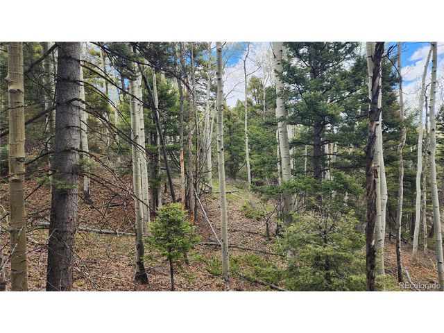 6338 Aragon Rd, San Luis, CO 81152