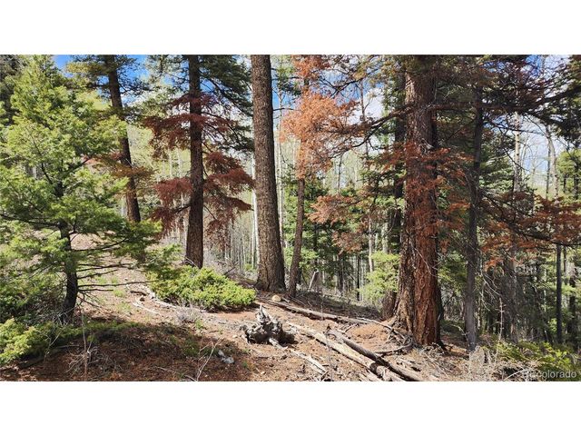 6338 Aragon Rd, San Luis, CO 81152