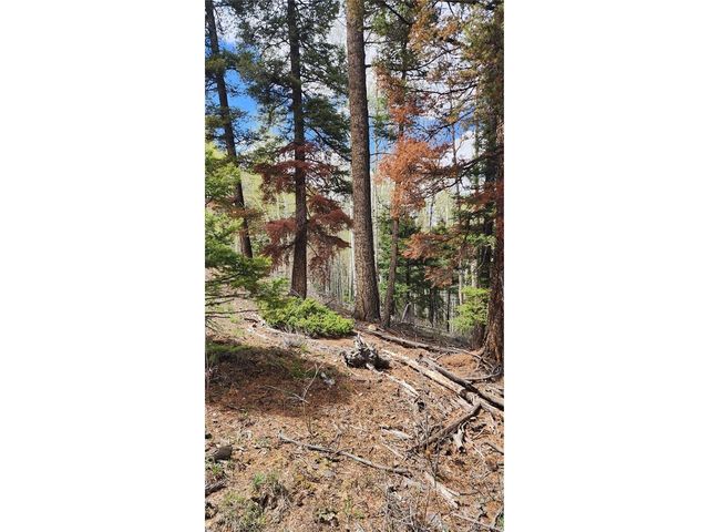 6338 Aragon Rd, San Luis, CO 81152