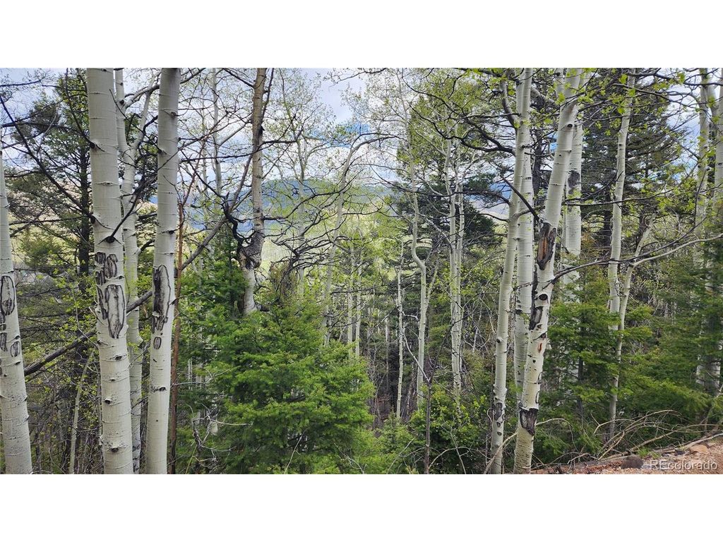 6338 Aragon Rd, San Luis, CO 81152