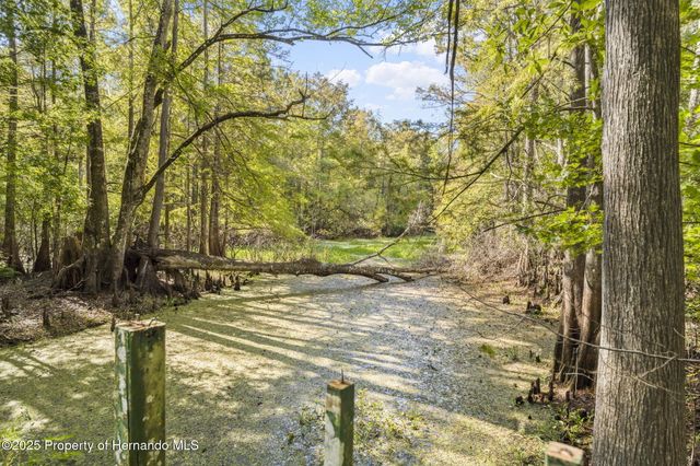 10750 E Sybil Court, Floral City, FL 34436