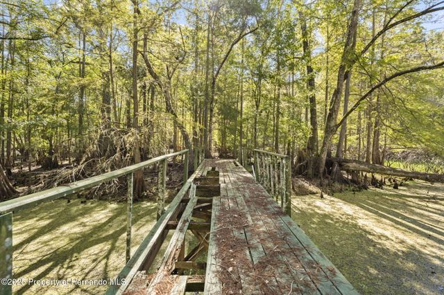 10750 E Sybil Court, Floral City, FL 34436