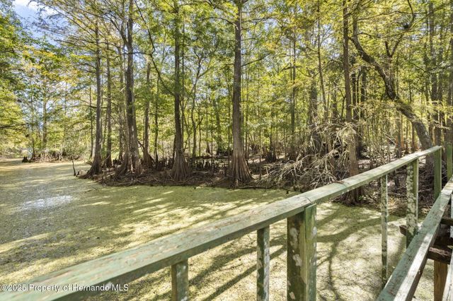 10750 E Sybil Court, Floral City, FL 34436