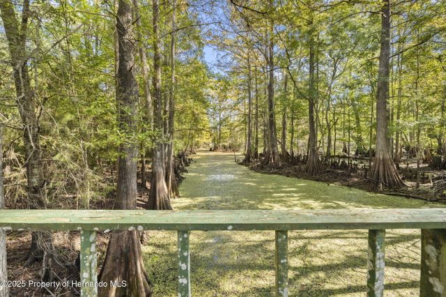 10750 E Sybil Court, Floral City, FL 34436