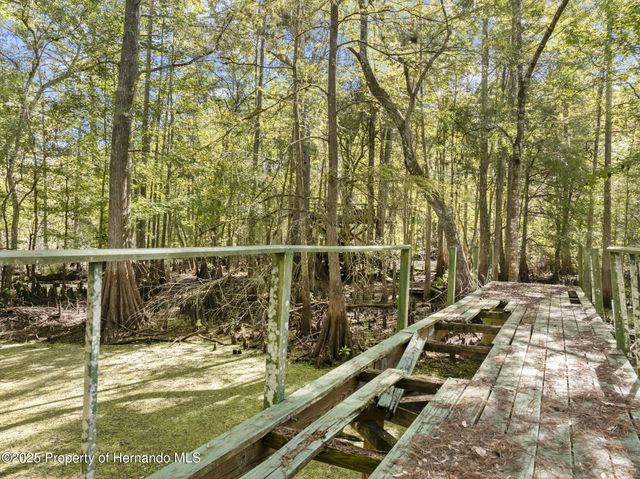 10750 E Sybil Court, Floral City, FL 34436