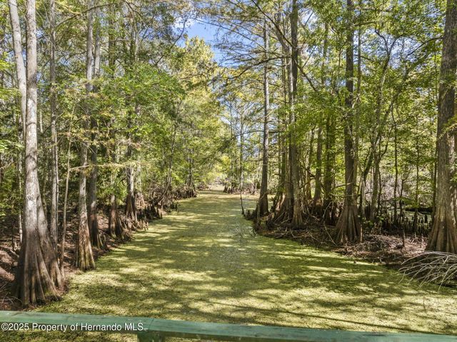 10750 E Sybil Court, Floral City, FL 34436