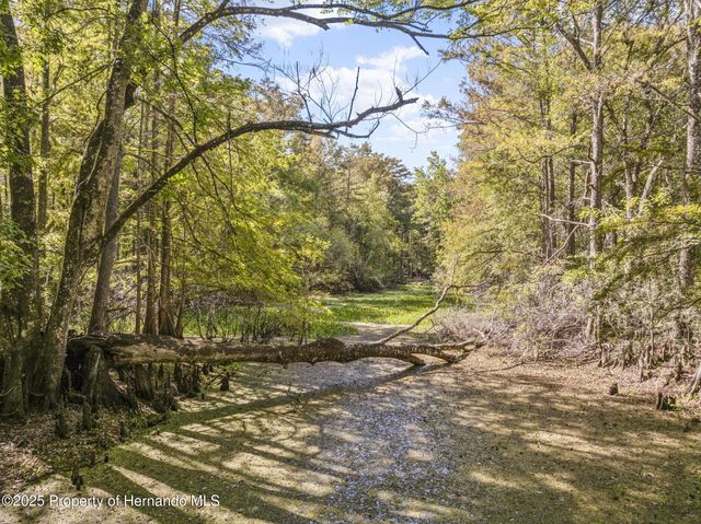 10750 E Sybil Court, Floral City, FL 34436