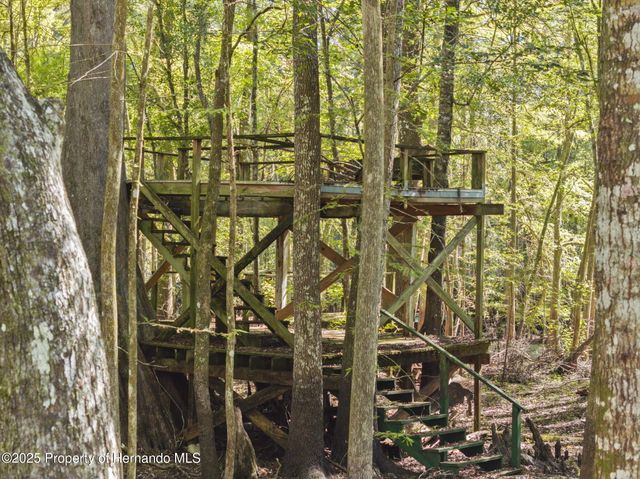 10750 E Sybil Court, Floral City, FL 34436