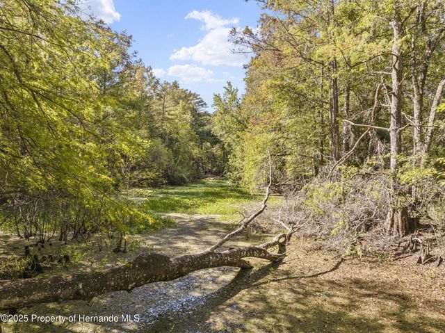 10750 E Sybil Court, Floral City, FL 34436