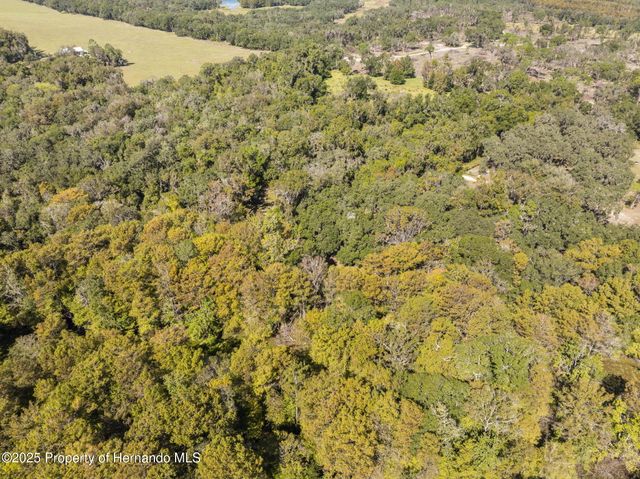 10750 E Sybil Court, Floral City, FL 34436