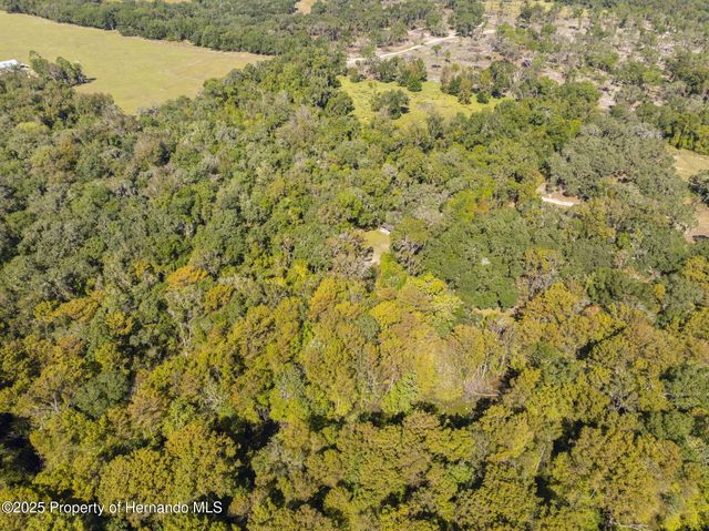 10750 E Sybil Court, Floral City, FL 34436