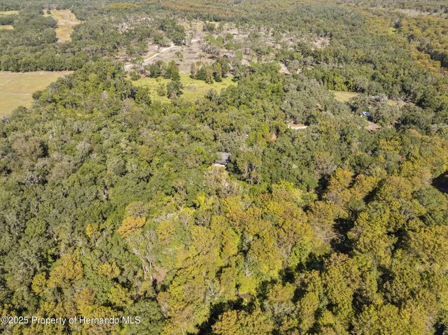 10750 E Sybil Court, Floral City, FL 34436