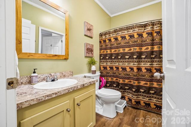 51 Hermit Springs Trail, Hendersonville, NC 28739