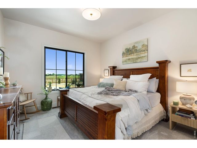 951 Warbling Dr, Windsor, CO 80550