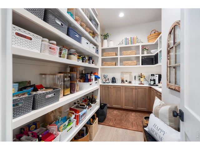 951 Warbling Dr, Windsor, CO 80550