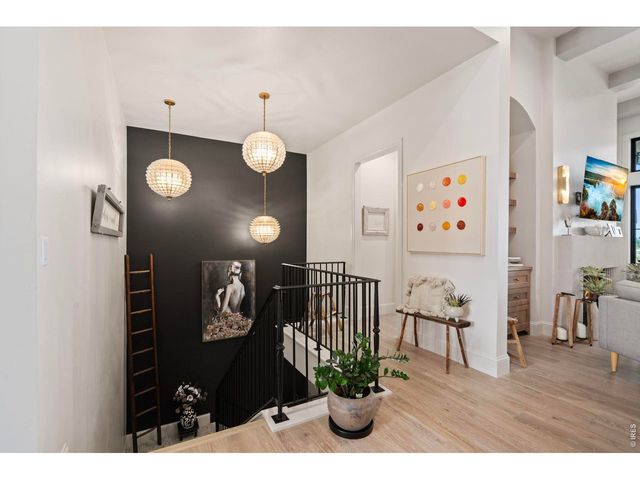 951 Warbling Dr, Windsor, CO 80550
