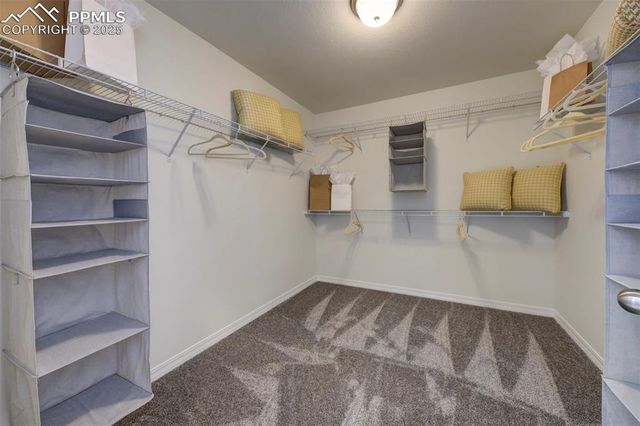 8140 Sophia Lane, Falcon, CO 80831