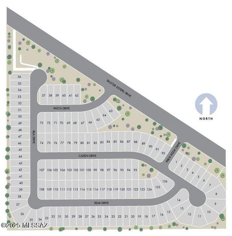 12583 E Remi Drive, Vail, AZ 85641