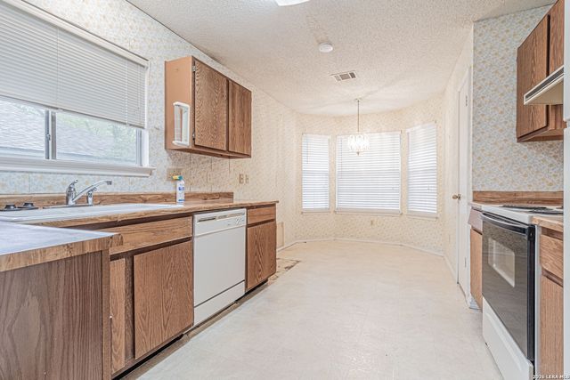 3675 Ridge Cluster, San Antonio, TX 78247