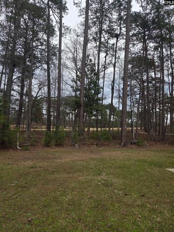 765 Club Cottage Drive, Blythewood, SC 29016